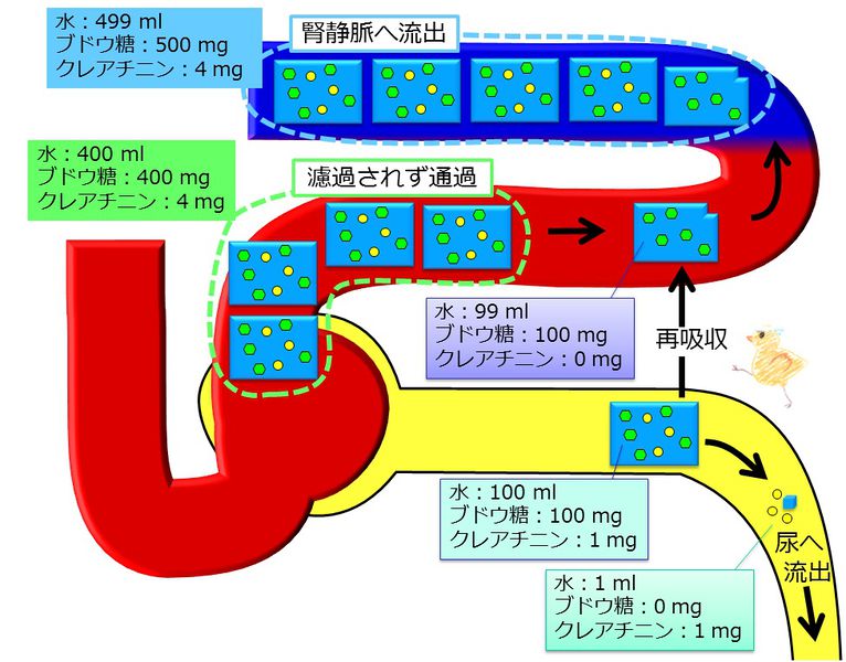 ファイル:04129.jpg