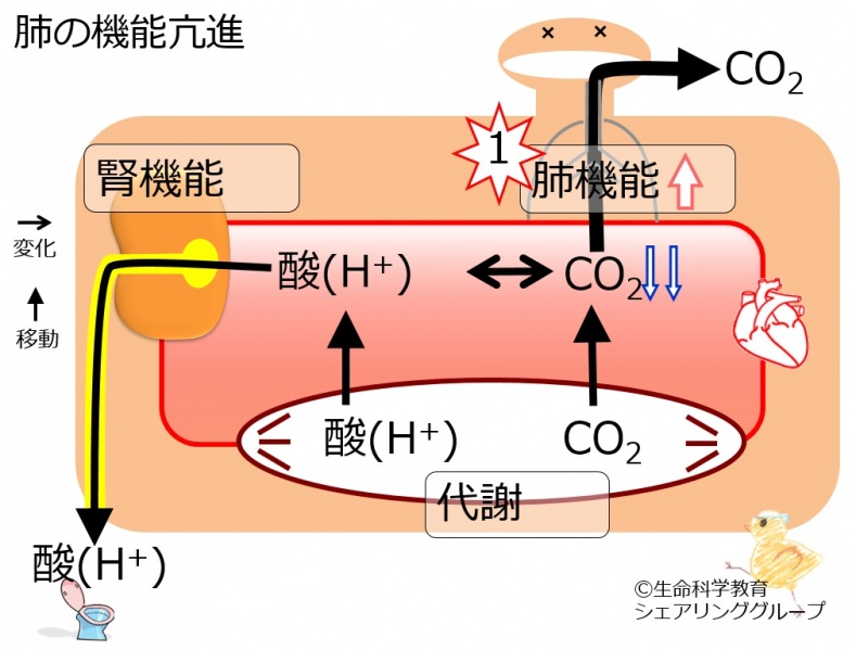 ファイル:04382.jpg