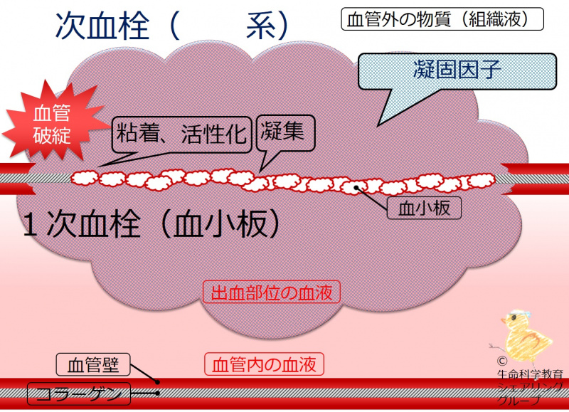 ファイル:04678-wb.jpg
