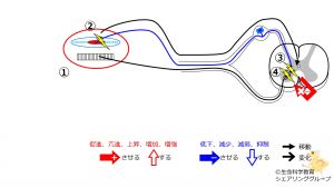 /wiki/images/thumb/b/b0/StretchReflex-2.jpg/300px-StretchReflex-2.jpg