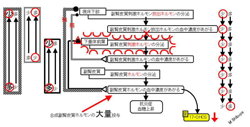 ファイル:00788.jpg