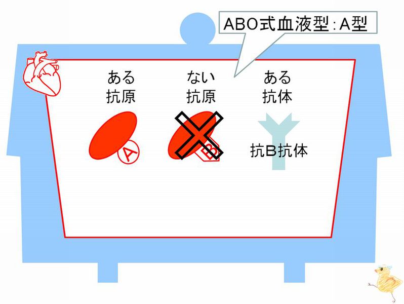 ファイル:02419.jpg
