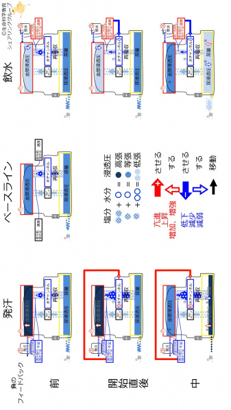 ファイル:ChannelControlSummary-2020-wb.jpg