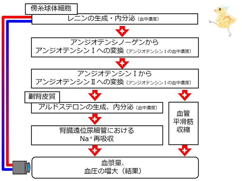 ファイル:04003.jpg