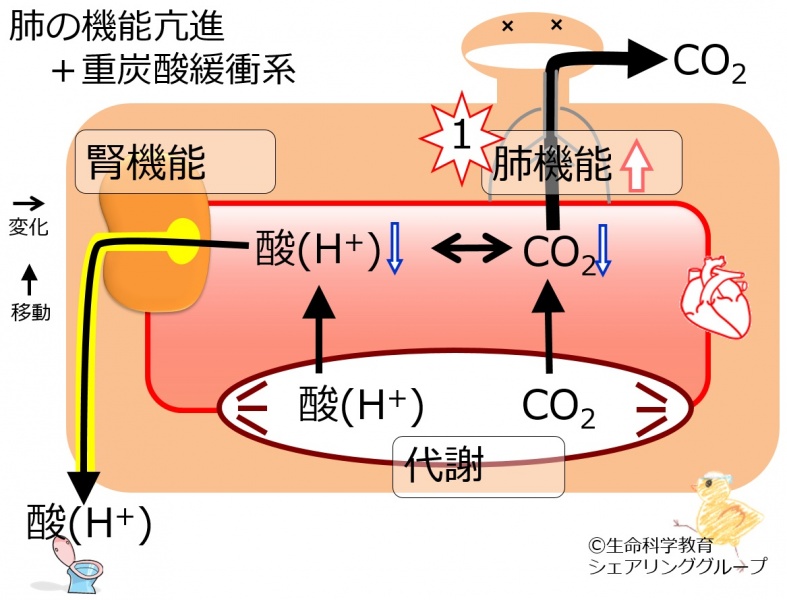 ファイル:04432.jpg