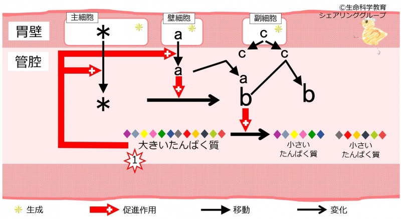ファイル:04557.jpg
