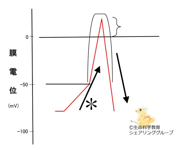 ファイル:04561.jpg