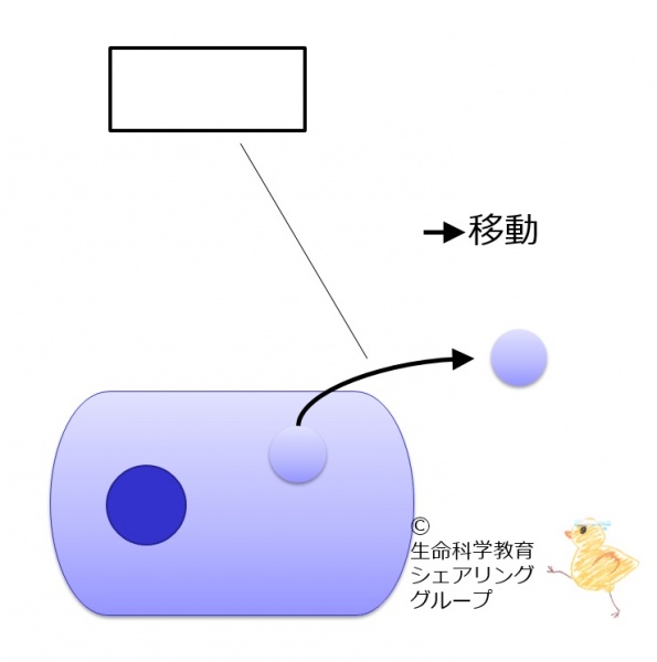 ファイル:Secretion-7-wb.jpg