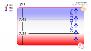 00647.jpg
