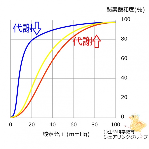 ファイル:03311.jpg