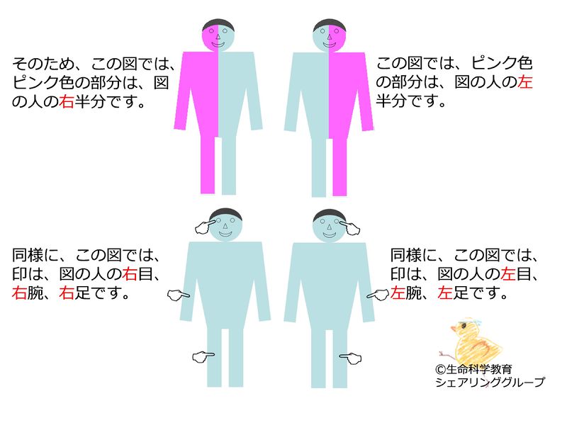 ファイル:04614.jpg