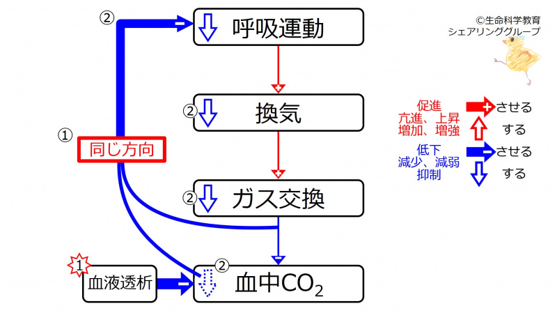 ファイル:DecCO2Response.jpg