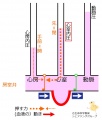 2016年4月1日 (金) 10:36時点における版のサムネイル