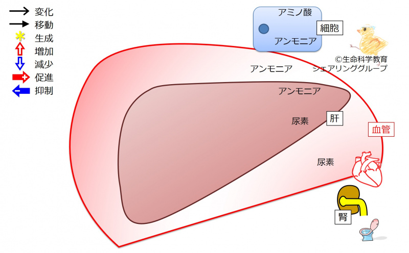 ファイル:03871-wb.jpg