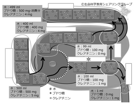 /wiki/images/thumb/b/b4/04592.jpg/450px-04592.jpg