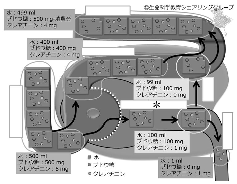 ファイル:04592.jpg