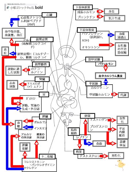 ファイル:03549.jpg