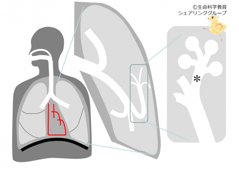 ファイル:04152.jpg