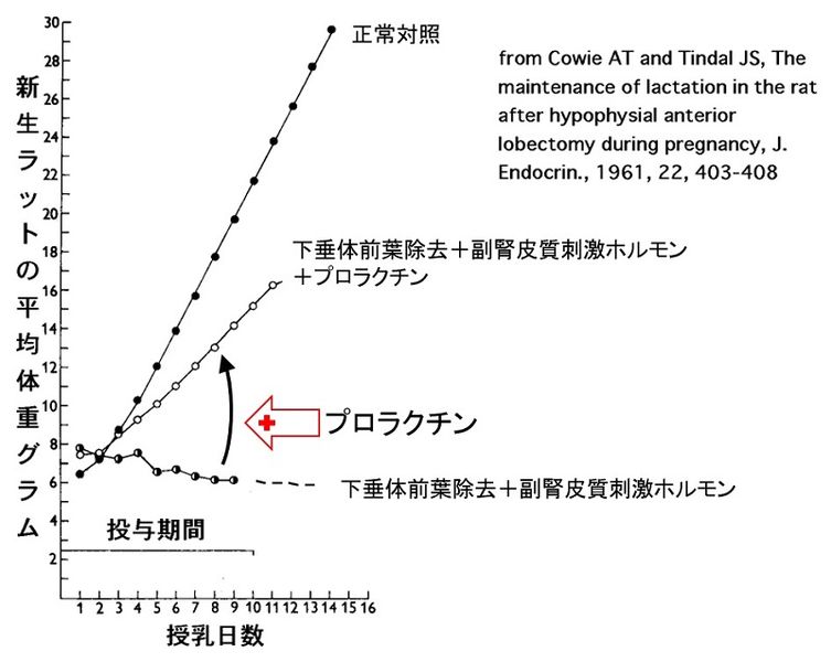 ファイル:4684.jpg