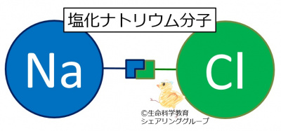 塩化ナトリウム_分子.jpg