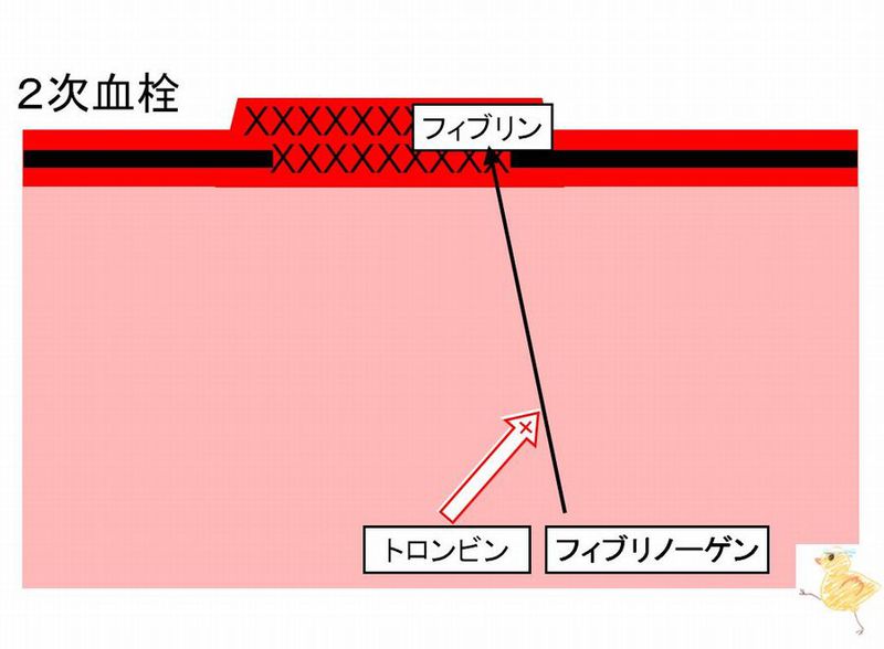 ファイル:03033.jpg