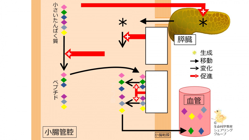 ファイル:04568.jpg