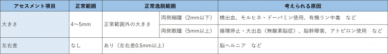 ファイル:表-頭頸部-眼-瞳孔の観察.jpg