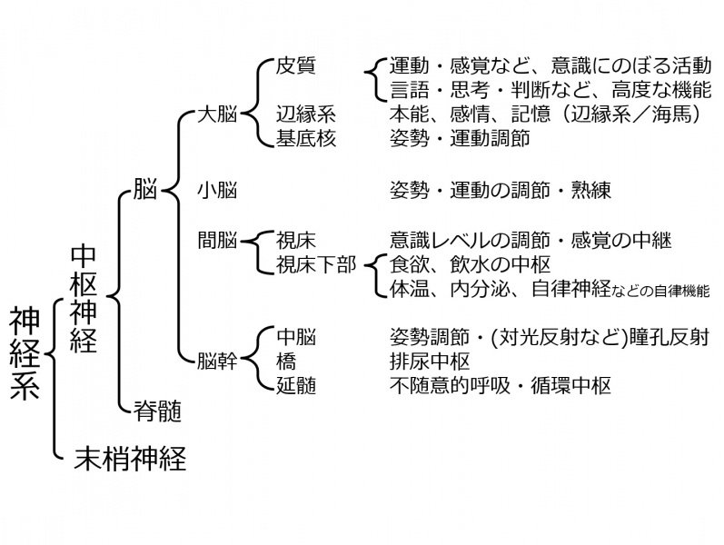 ファイル:00217-wb.jpg