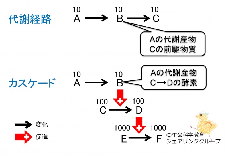 ファイル:03020.jpg