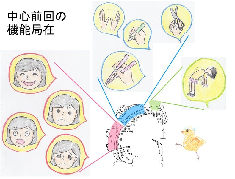 ファイル:03446.jpg