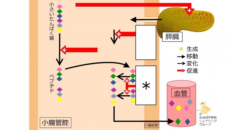 ファイル:04571.jpg