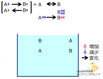 ChemicalEquilibriumChangesByDecInMolB-3.jpg