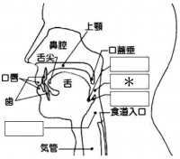 /wiki/images/thumb/b/b8/%E5%9A%A5%E4%B8%8B%E3%81%AE%E5%9B%B32.jpg/200px-%E5%9A%A5%E4%B8%8B%E3%81%AE%E5%9B%B32.jpg