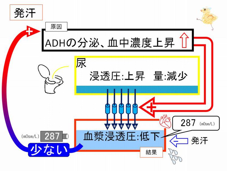 ファイル:02379.jpg