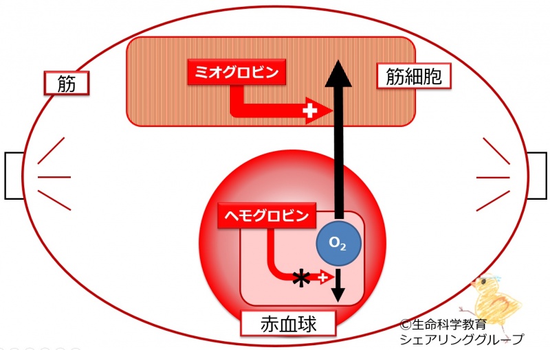 ファイル:04089.jpg