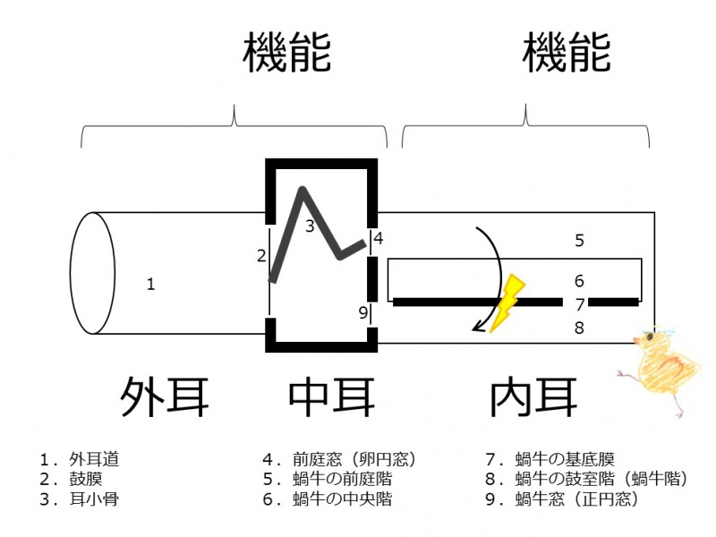 ファイル:04220-wb.jpg