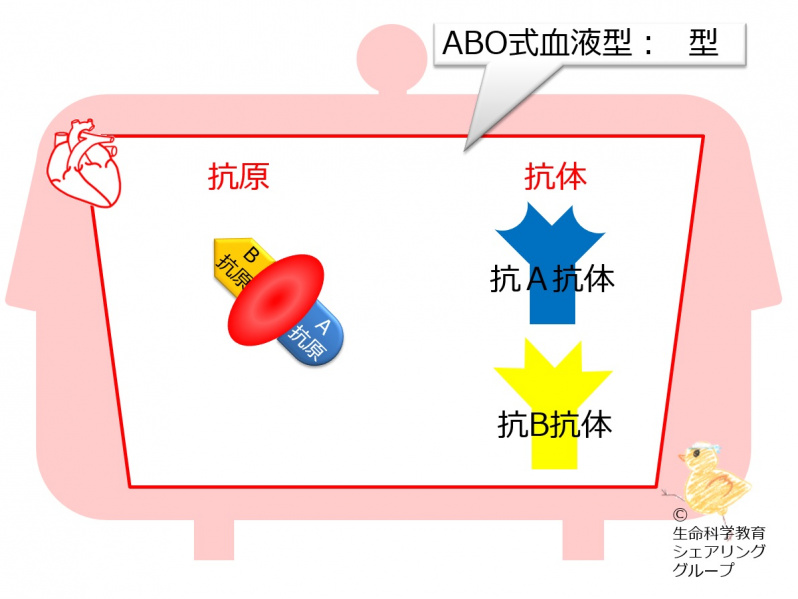 ファイル:04553-wb.jpg