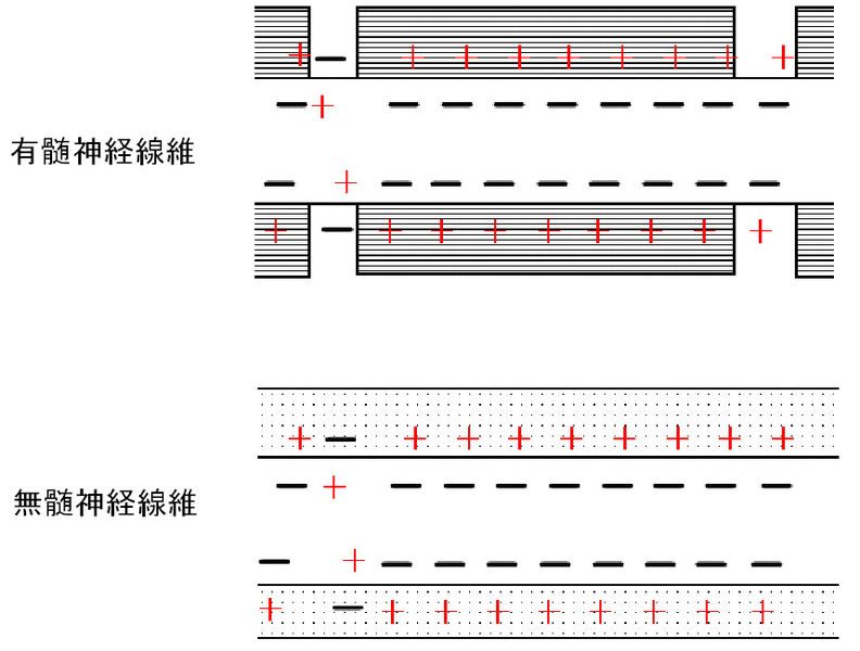 ファイル:00247.jpg