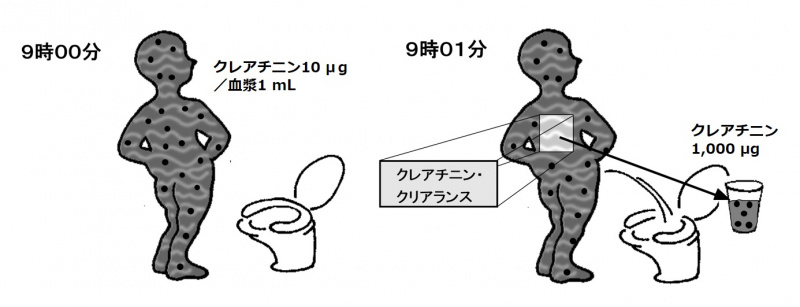 ファイル:00336-wb.jpg