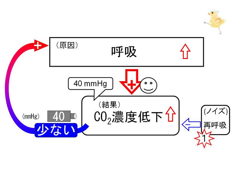 ファイル:02847.jpg