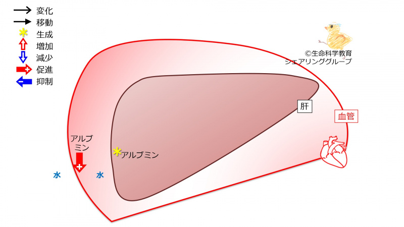 ファイル:03867-wb.jpg
