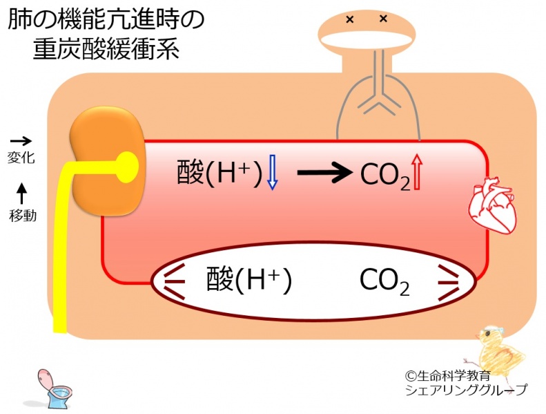 ファイル:BB-hypervent.jpg