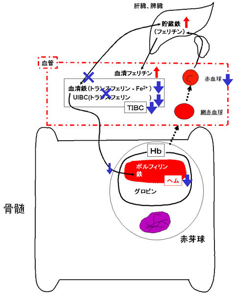 ファイル:00419.jpg