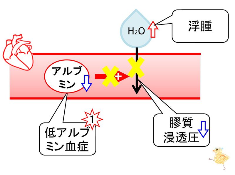 ファイル:03476.jpg