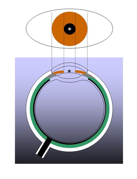 ファイル:01523en.jpg