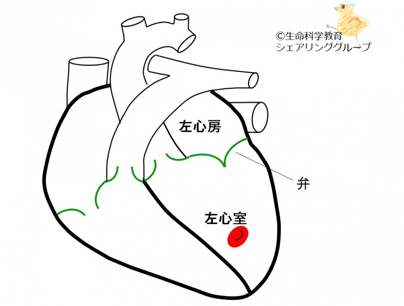 ファイル:01724-wb.jpg