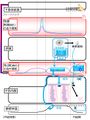 2014年3月22日 (土) 00:07時点における版のサムネイル