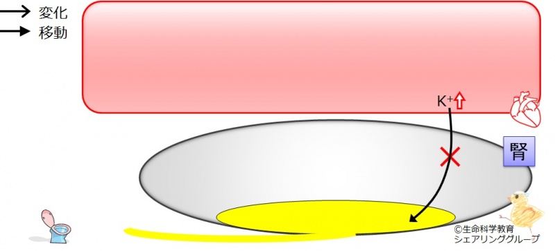 ファイル:CKD-Kalium.jpg