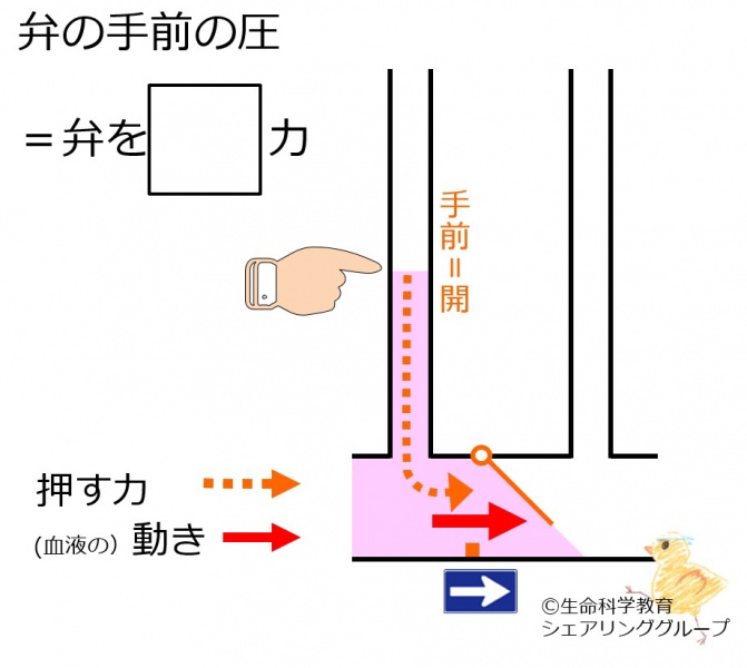 ファイル:Upside-valve-pressure-wb.jpg