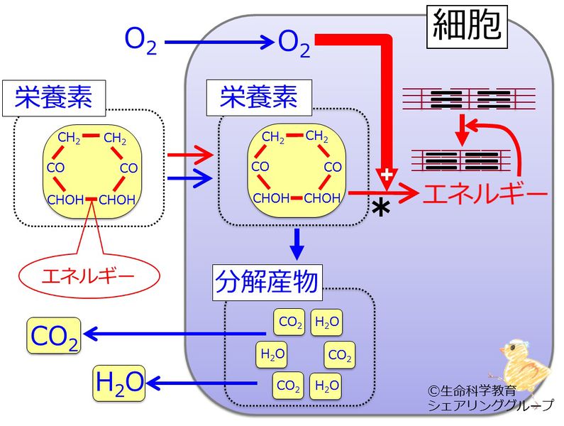 ファイル:クイズ1.jpg